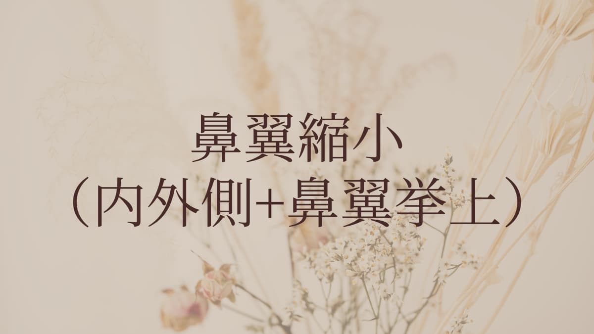 鼻翼縮小(内外側+鼻翼挙上)