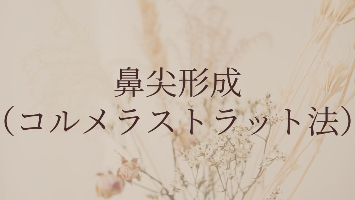 鼻尖形成(コルメラストラット法)