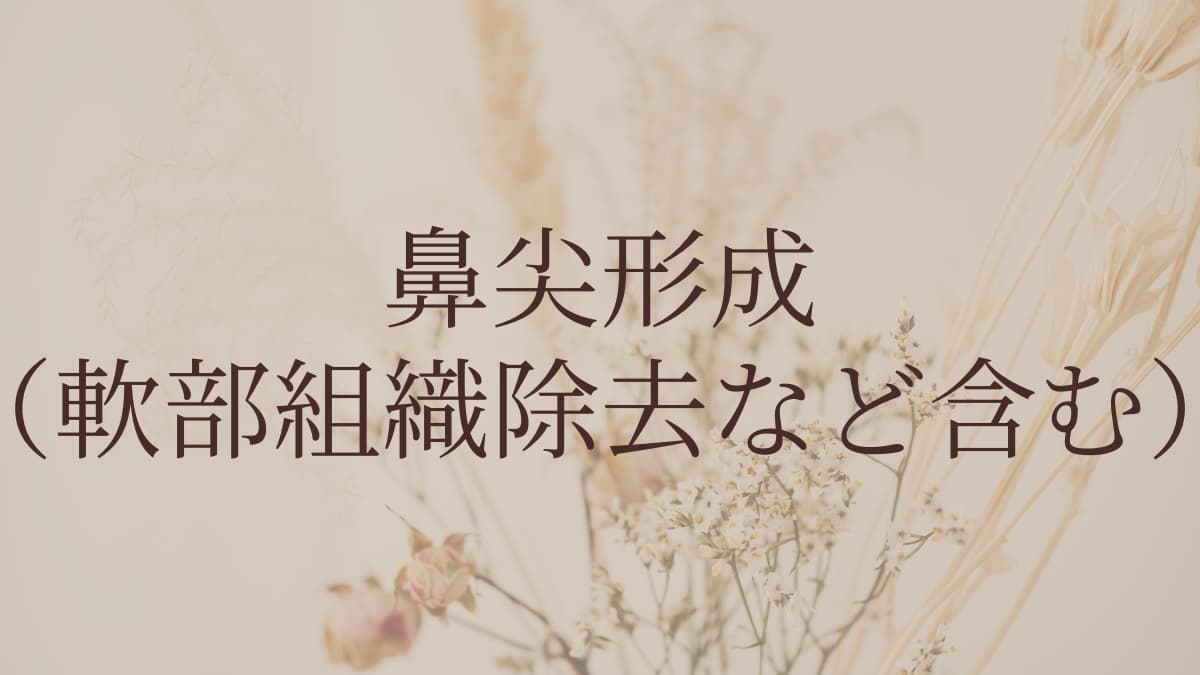 鼻尖形成(軟部組織除去など含む)