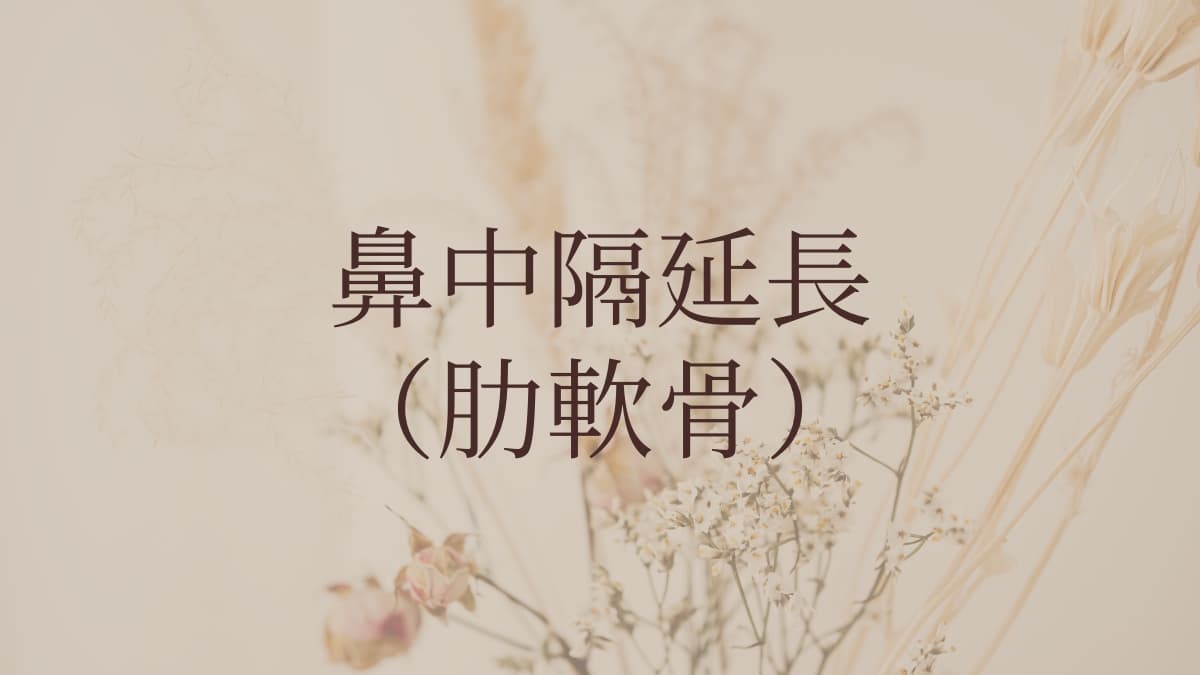 鼻中隔延長(肋軟骨)