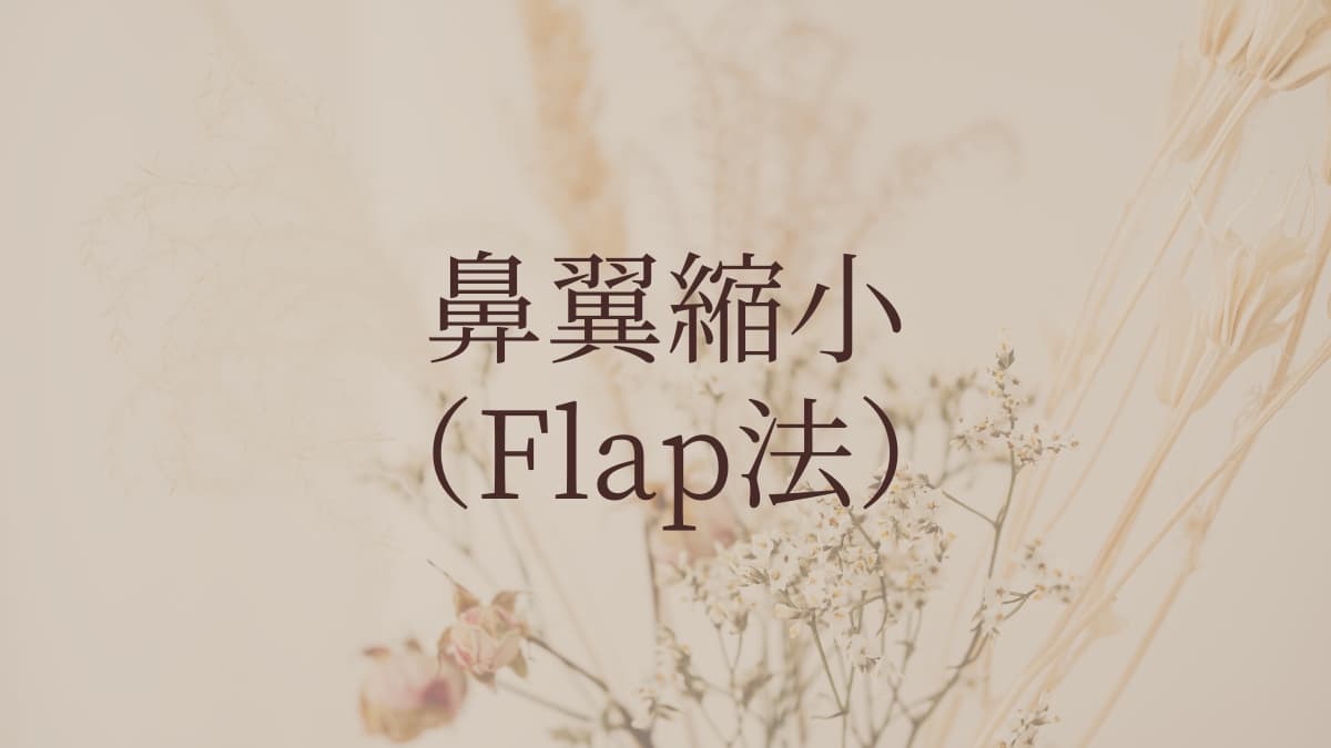 鼻翼縮小(Flap法)