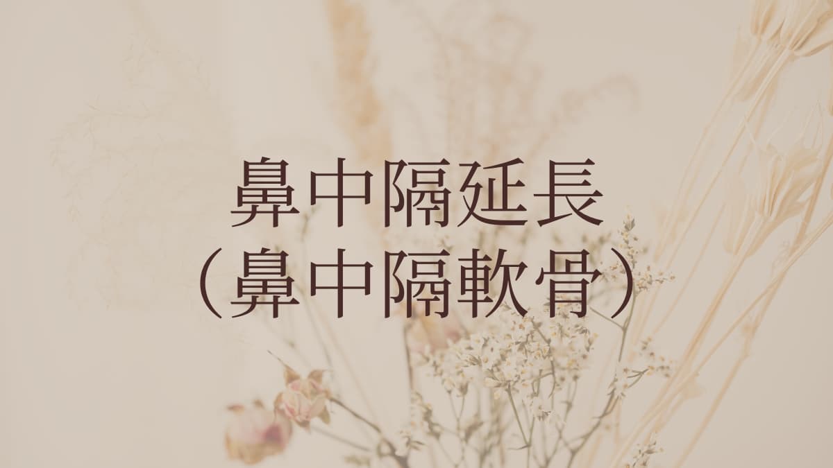 鼻中隔延長(鼻中隔軟骨)