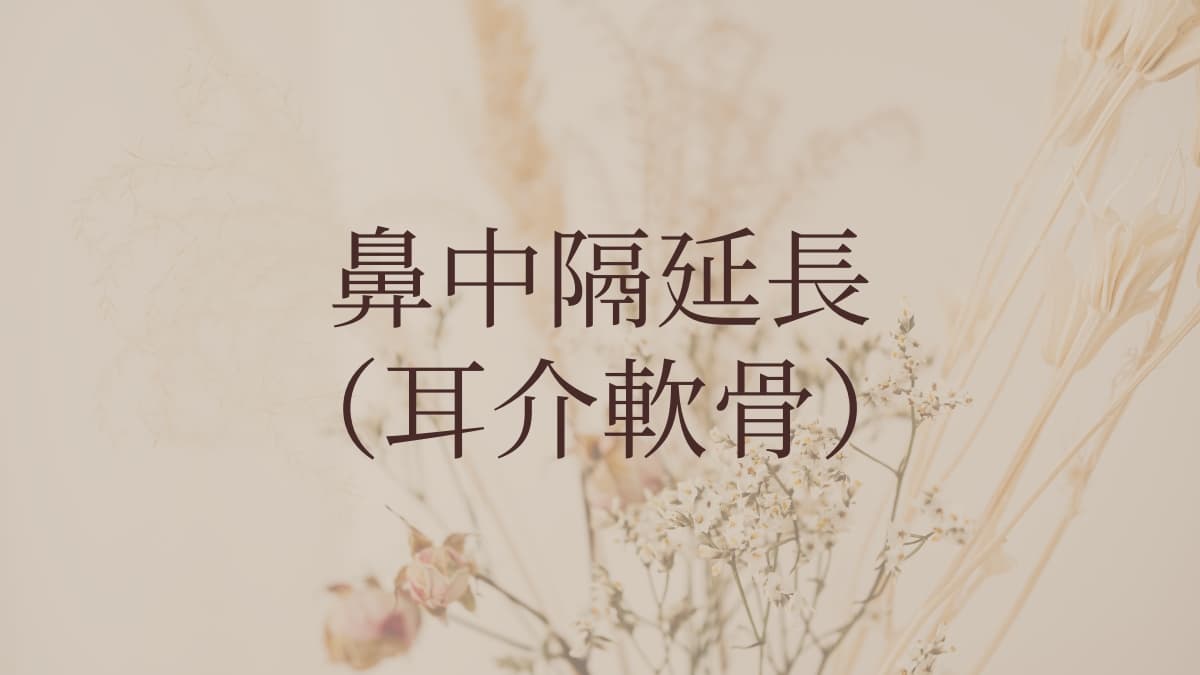 鼻中隔延長(耳介軟骨)