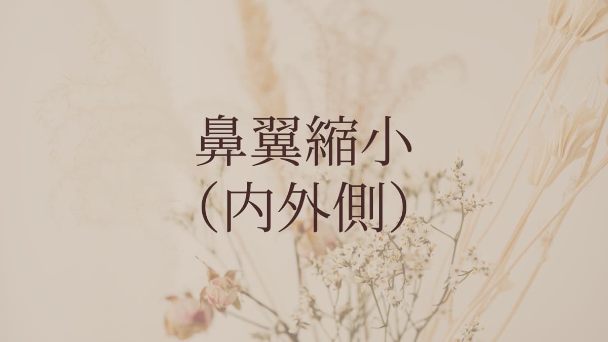 鼻翼縮小(内外側)